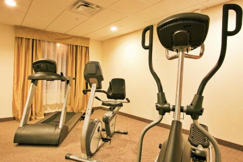 Holiday Inn Express Hotel & Suites Brooksville-I-75 an IHG Hotel - image 17