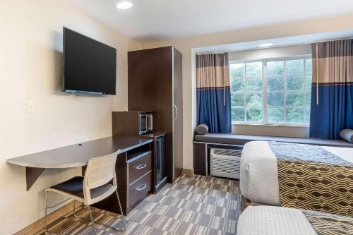 Microtel Inn & Suites by Wyndham Brooksville - image 12