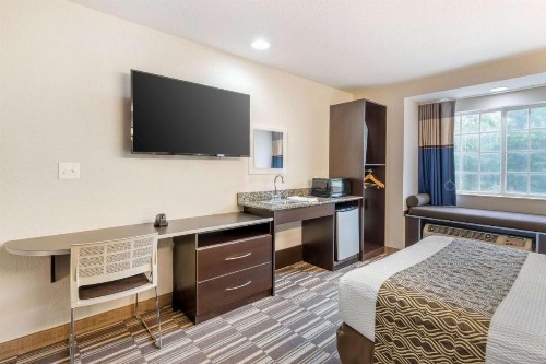 Microtel Inn & Suites by Wyndham Brooksville - image 18