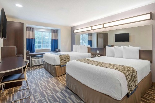 Microtel Inn & Suites by Wyndham Brooksville - image 21