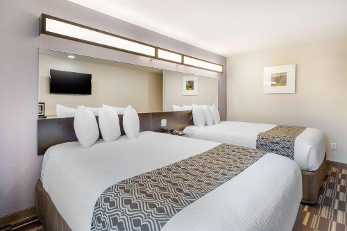 Microtel Inn & Suites by Wyndham Brooksville - image 26