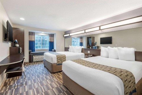 Microtel Inn & Suites by Wyndham Brooksville - image 4