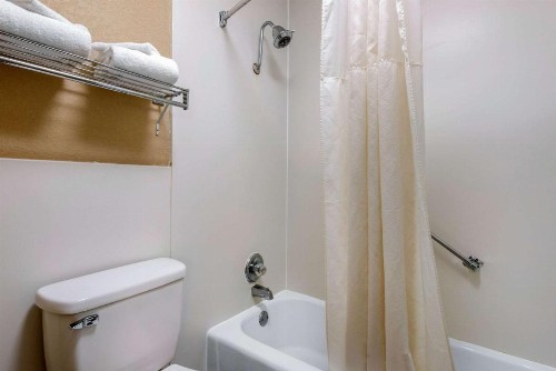 Quality Inn & Suites Brooksville I-75/Dade City - image 18