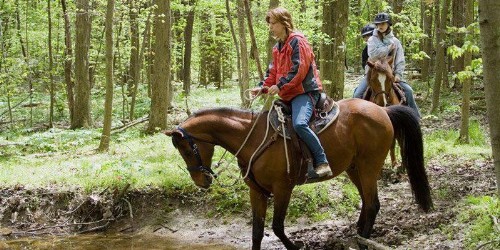 Nantahala Village - image 11