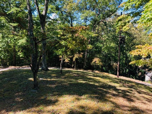 Nantahala Village - image 20