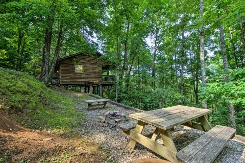 Nantahala Cabins - image 24