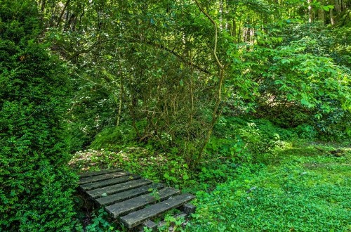 Nantahala Cabins - image 40