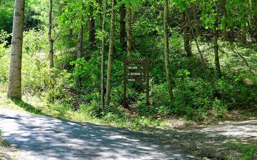 The Hive Lodge-with views of the Smokies - image 5