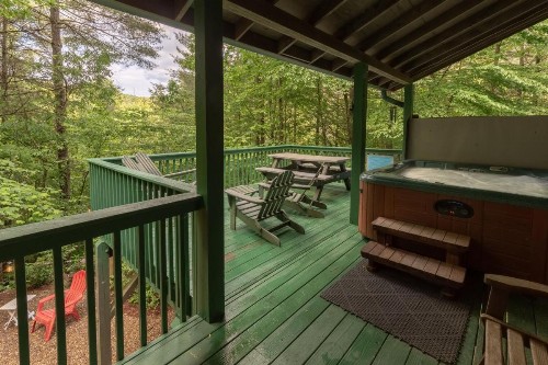 Bear's Den - image 10