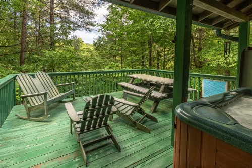 Bear's Den - image 11