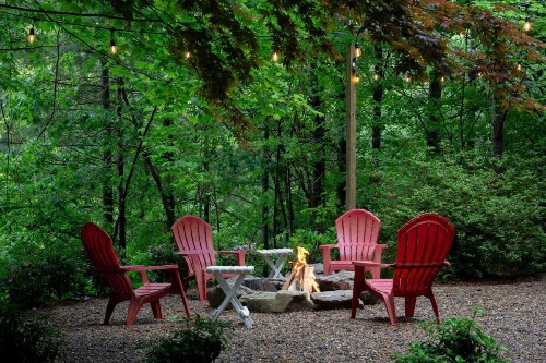 Bear's Den - image 9