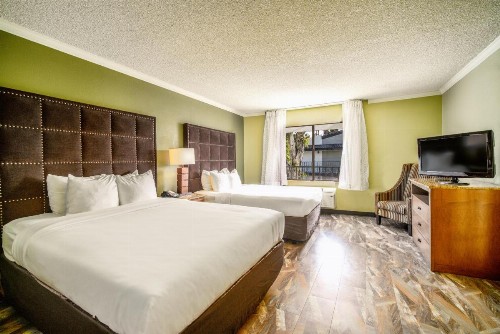 Quality Inn & Suites Buena Park Anaheim - image 19