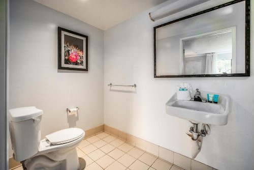 Quality Inn & Suites Buena Park Anaheim - image 33