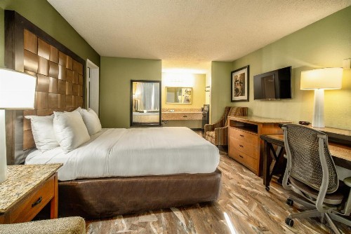 Quality Inn & Suites Buena Park Anaheim - image 37
