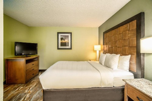 Quality Inn & Suites Buena Park Anaheim - image 42