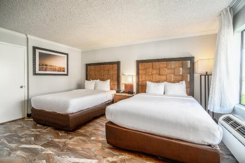 Quality Inn & Suites Buena Park Anaheim - image 44