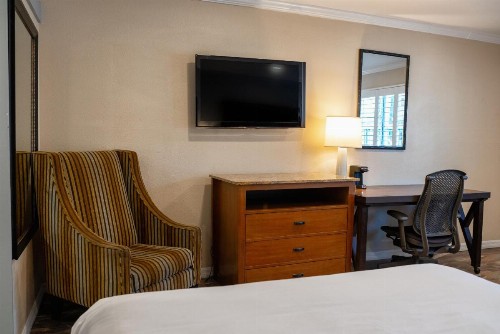 Quality Inn & Suites Buena Park Anaheim - image 49