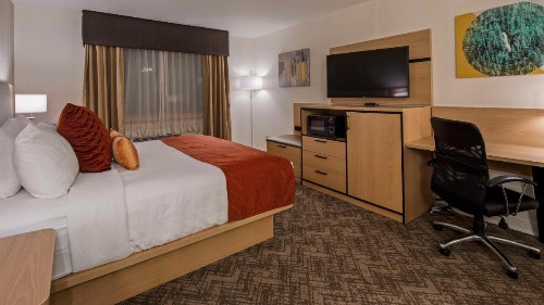 Best Western Vista Inn - image 27