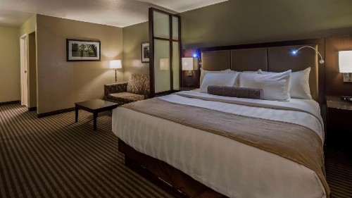Best Western Vista Inn - image 36