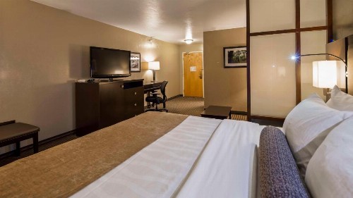 Best Western Vista Inn - image 37
