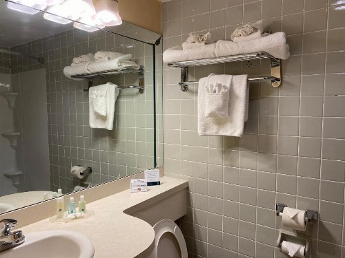 Quality Inn Buffalo Airport - image 4