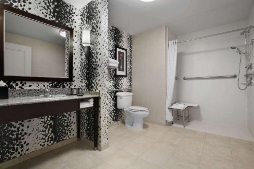 Embassy Suites Buffalo - image 26