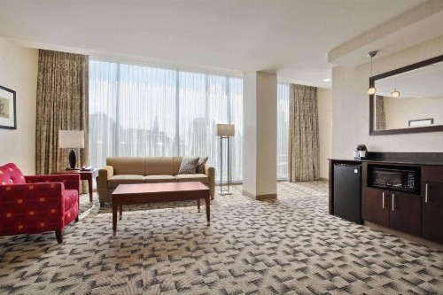 Embassy Suites Buffalo - image 33