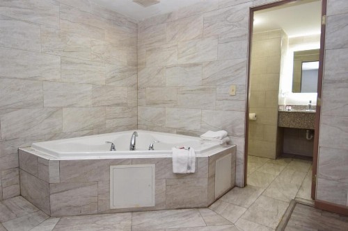 University Manor Inn - image 33