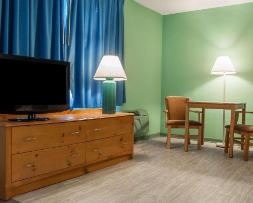Econo Lodge South Buffalo - image 10