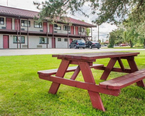 Econo Lodge South Buffalo - image 18