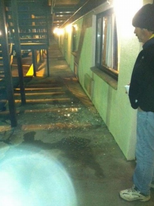 Econo Lodge South Buffalo - image 20