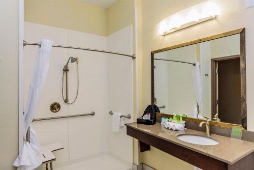 Holiday Inn Express & Suites Cheektowaga North East an IHG Hotel - image 44