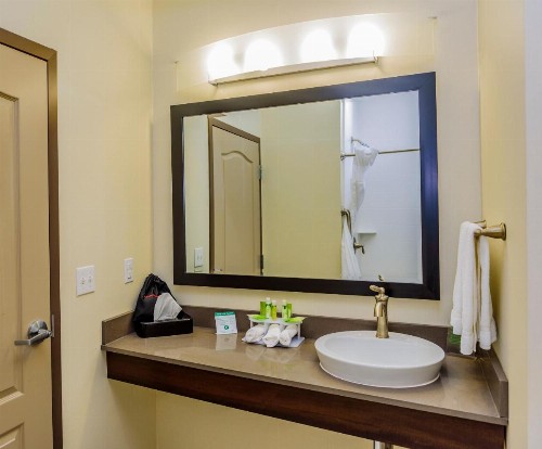 Holiday Inn Express & Suites Cheektowaga North East an IHG Hotel - image 48