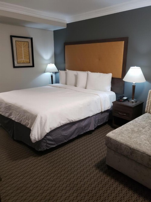 Portofino Inn Burbank - image 7