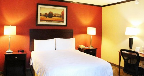Holiday Inn Burbank-Media Center an IHG Hotel - image 11