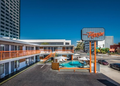 The Tangerine - image 38