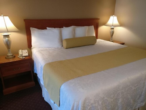 Burbank Inn and Suites - image 10