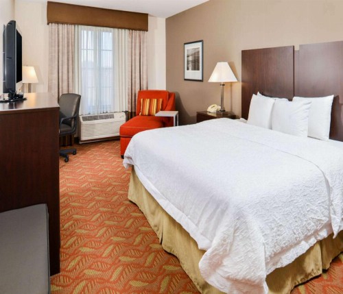 Hampton Inn & Suites San Francisco-Burlingame-Airport South - image 31