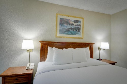 Vagabond Inn Executive SFO - image 22