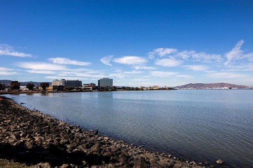 Crowne Plaza San Francisco Airport an IHG Hotel - image 17