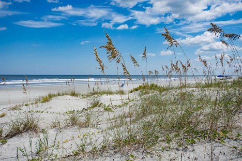 417 Montego Bay Court St. Augustine FL 32080 - image 26
