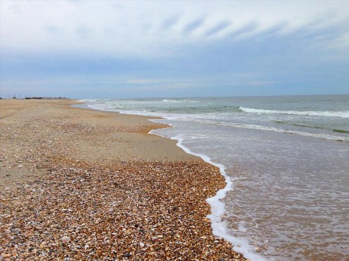 Cape Hatteras Motel - image 32