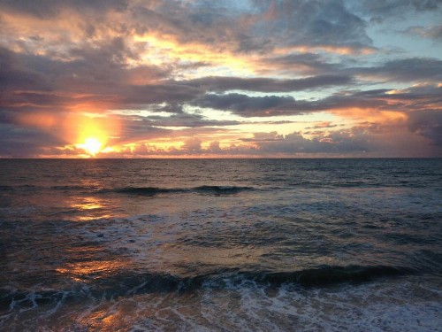Cape Hatteras Motel - image 36