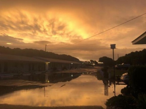 Swell Motel - image 11