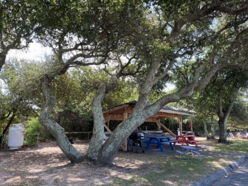 Swell Motel - image 38