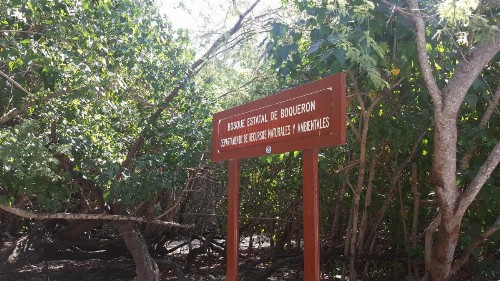 Luichy's Guest House - image 22