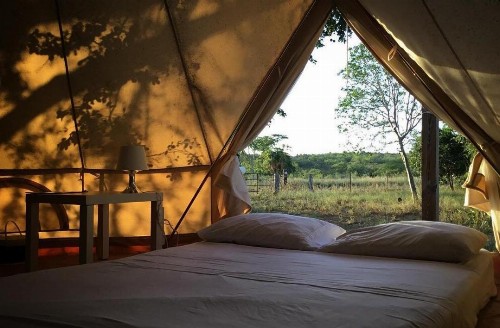 Pitahaya Glamping