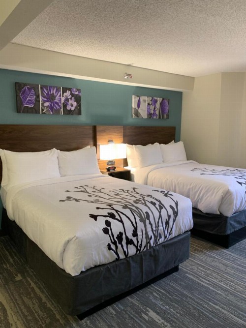 Red Roof Inn & Suites California MD - NAVAIR - image 25