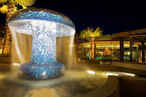 Calistoga Spa Hot Springs - image 13