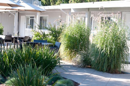 Calistoga Spa Hot Springs - image 20